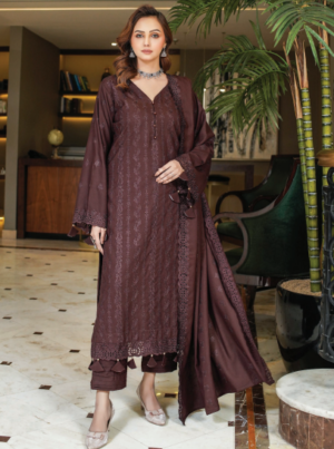 Design Number A-3 | Rangoli By M.R | Wool Chikan Kari Dress