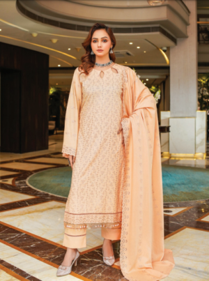 Design Number A-4 | Rangoli By M.R | Wool Chikan Kari Dress