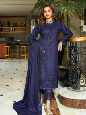Design Number A-5 | Rangoli By M.R | Wool Chikan Kari Dress