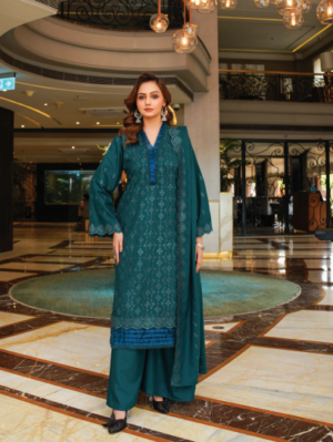 Design Number A-1 | Rangoli By M.R | Wool Chikan Kari Dress