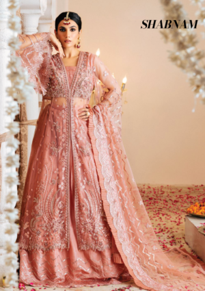 Shabnam ZQ-07 | Zircon By Zebtan | Pink Chiffon lehenga