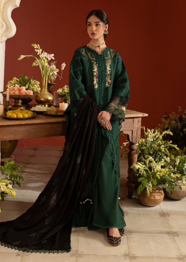 Dastan-e-Noor By Parishay DSC-06