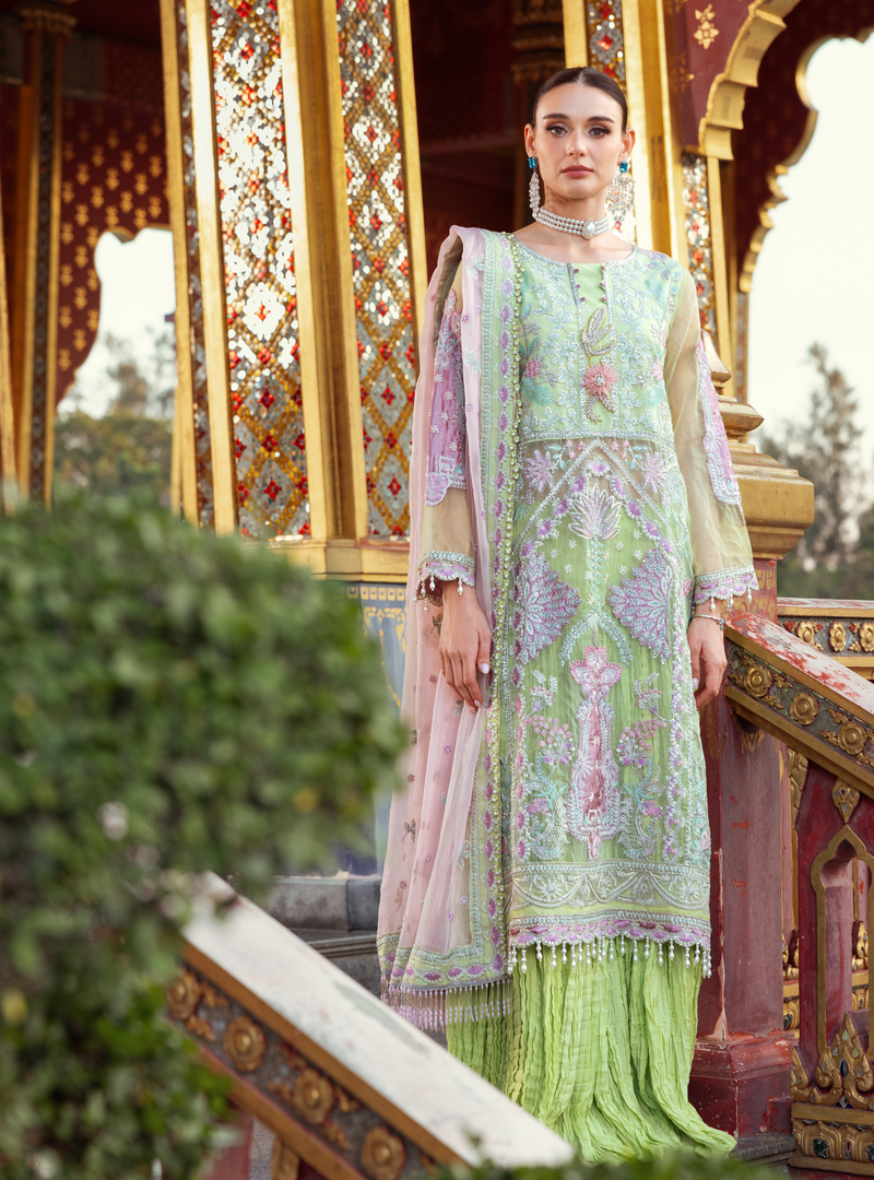 Zeenat luxury collection vol 23 ZN-06