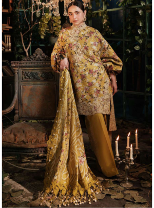 tabeer printed lawn dress