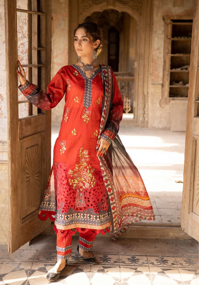 Rang Nagar By Shaista D-633