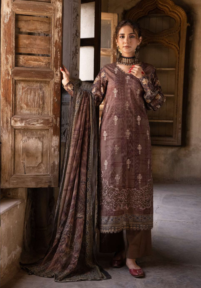 Rang Nagar By Shaista D-636