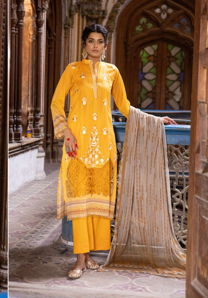 Rang Nagar By Shaista D-637