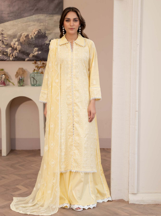 Noor-e-fajar Shamsha NF-1446