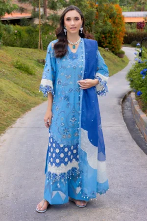 Rang-e-Bahar By Razab REB-21