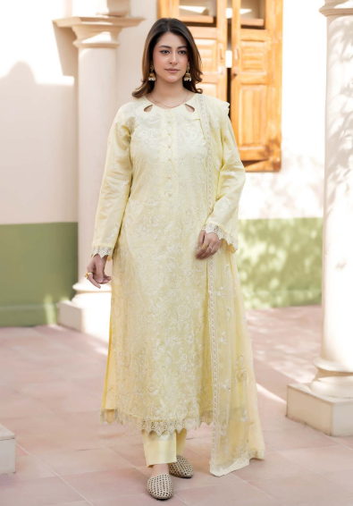 Noor-e-Fajar Darren NF-1493