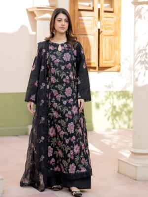 Noor-e-Fajar Darren NF-1494